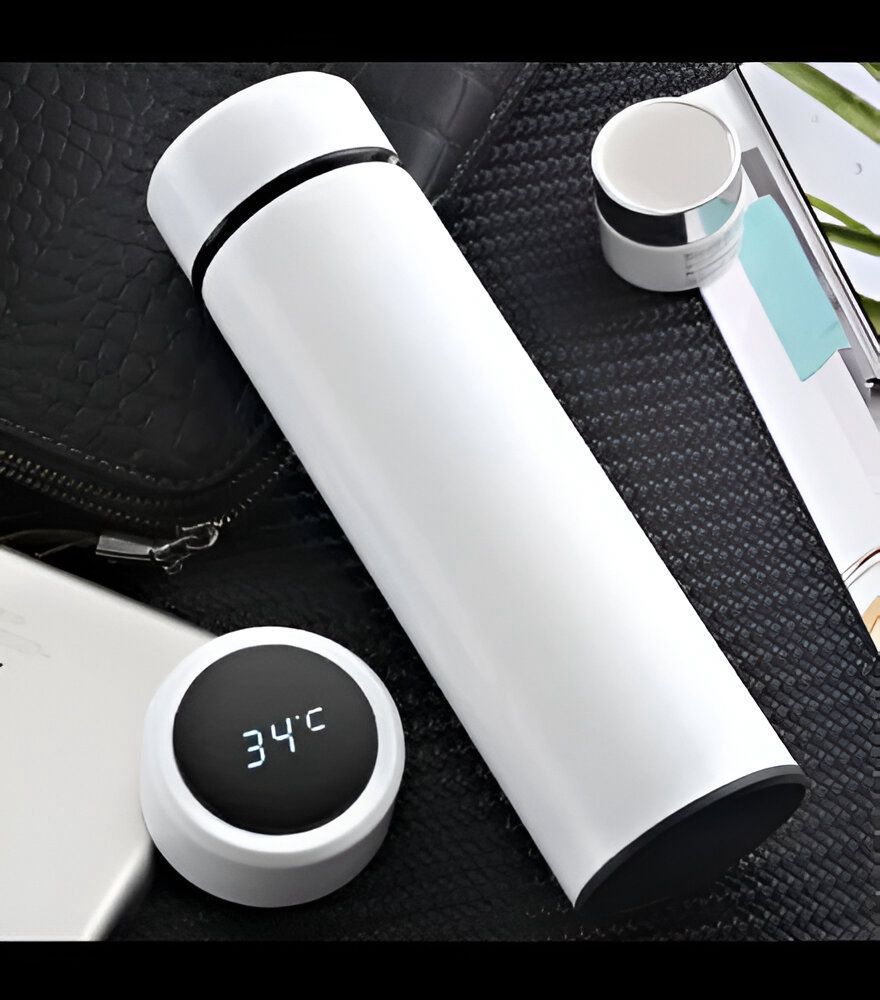 Temperature water bottle